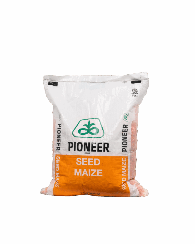 pioneer