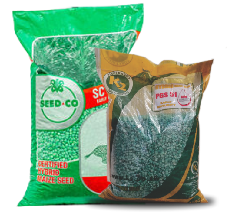 seed